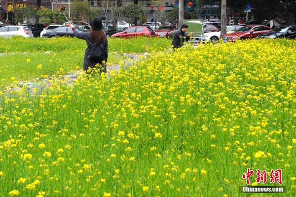 糖豆娃娃免费版下载